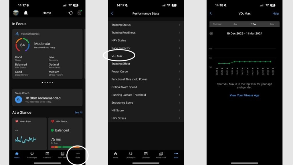 Garmin Connect VO2 Max