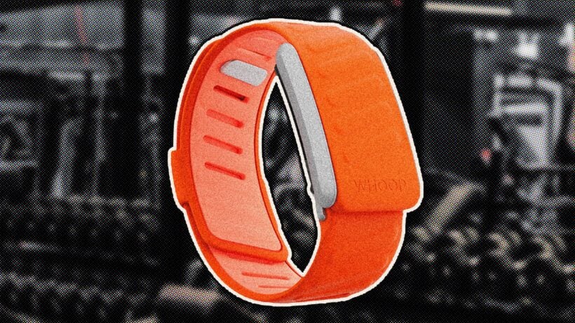 The best wearables for weightlifting and gym workouts—and why Whoop is (still) our top pick